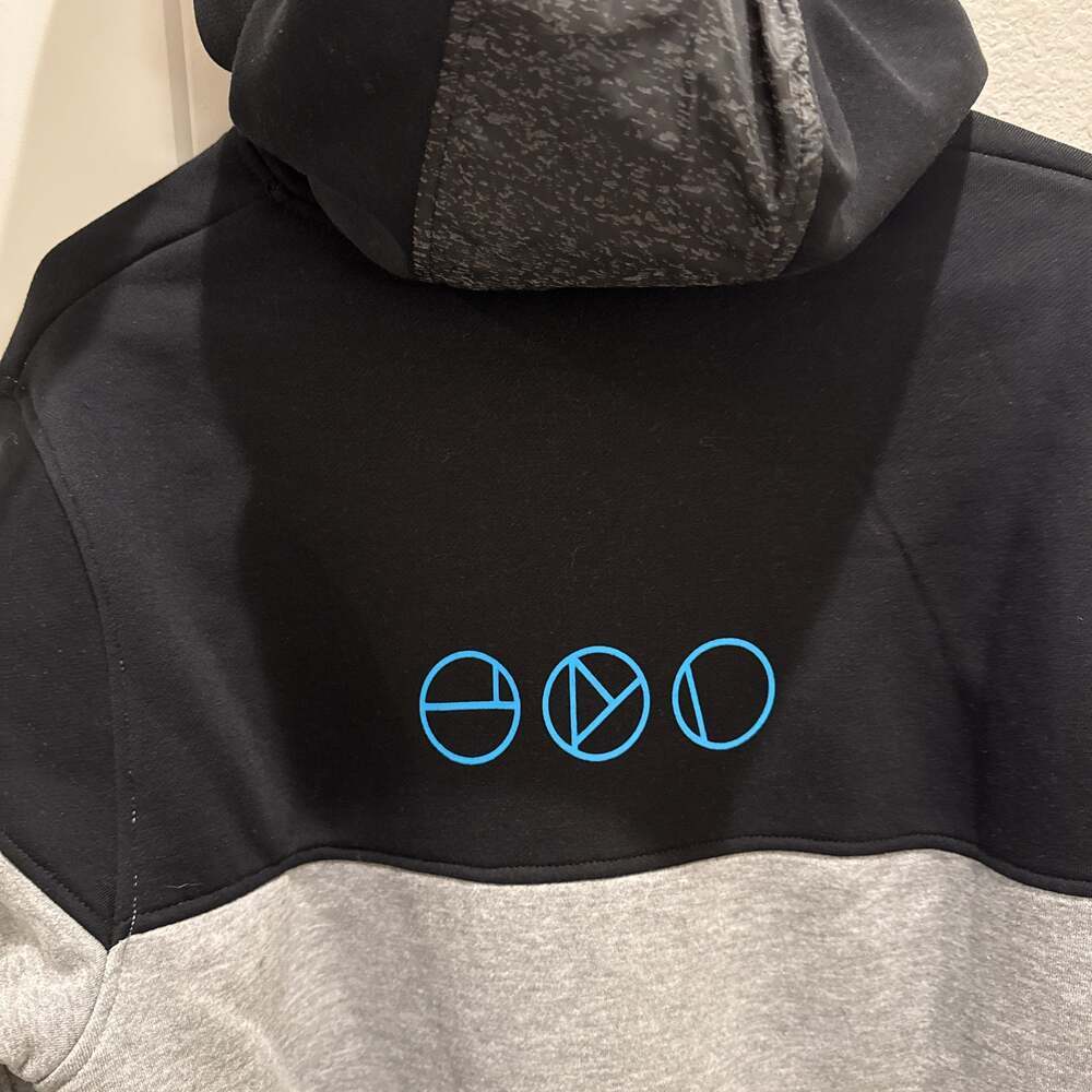 Destiny 2 Prophecy Dungeon Emissary IX Gray Hoodie - Picture 3 of 3